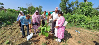 तिलोत्तमा व्यापार संघले मनायो विश्व वातावरण दिवस