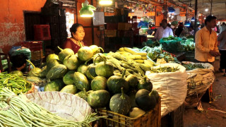 ‘उत्पादन बढी हुँदा तरकारी सस्तो, किसानले मूल्य पाउनै छोडे’