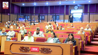 खानेपानीमा नागरिकको पहुँच र नेपालमै ब्लिचिङ पाउडर उद्योग खोल्ने सम्बन्धी सङ्कल्प प्रश्ताव