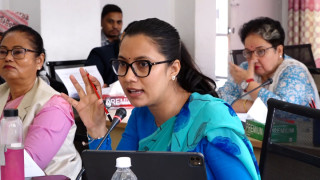 यातायात सुरक्षामा एकीकृत नियमनको आवश्यकता : सांसद गौतम