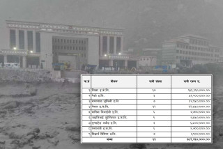 रसुवा बाढीपहिरो : करिव २९ करोडको बीमा दाबी