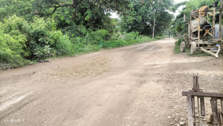 मर्चवारमा बढ्यो सवारी दुर्घटना