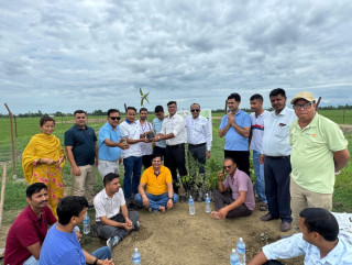 रोटरी बुटवल चौतारीद्वारा क्यान्सर अस्पताल परिसरमा वृक्षारोपण