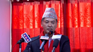 विद्युत प्राधिकरण हाइड्रोको पछाडी लाग्न जरुरी नरहेको : निर्देशक  शाक्य