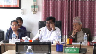 ‘विधेयक उस्तै उस्तै देखिन्छ, विज्ञ राखेर छलफल गरौँ’ : सांसदहरु