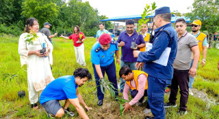 लायन्स सिद्धार्थनगर सेन्टिनियलद्वारा वृक्षरोपण