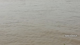 भारतको बिहारमा बाढीले विनाश