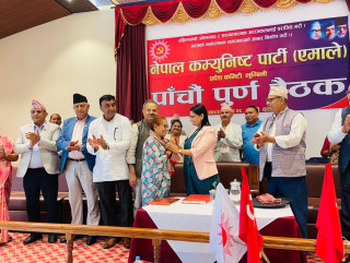 एमालेमै फर्किइन् सिद्धार्थनगरको पूर्व उपप्रमुख काफ्ले