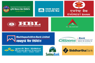 एक दर्जन बैंकले बढाए खराब कर्जा, कुनकाे कति ?