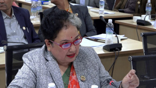 हतारमा काम गर्दा सबै सांसदहरु बेकुफ भयौँ : सांसद कार्की