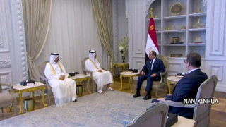 इजिप्ट र कतारद्वारा गाजामा तत्काल युद्धविराम गर्न आग्रह