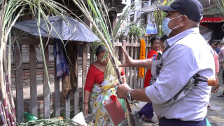 दशैँघरमा फूलपाती भित्र्याउने चटारो