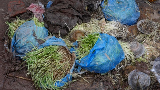 आज कोजाग्रत पूर्णिमा : यस वर्षको दशैँ सकिँदै