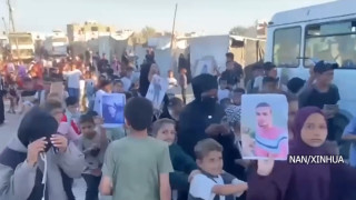 गाजामा अभिभावक गुमाएका बालबालिकाहरू शान्तिको याचना गर्दै