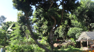 विशेष अदालत पुग्यो लिचीबारीजग्गा प्रकरण : जग्गाधनी इन्द्र गौचनको पक्षमा स्थानीय