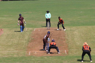 तिलोत्तमा क्रिकेट लिग : विश्व लायन टटल्स र बुटवल डायनामाइट्स विजयी