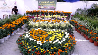 भृकुटीमण्डपमा तिहार फ्लोरा एक्स्पो शुरु