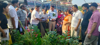 तिलोत्तमा–७ चम्कीपुरमा सरसफाई तथा वृक्षरोपण सम्पन्न