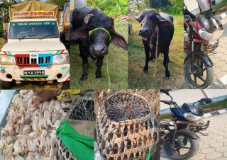 रुपन्देहीमा साढे १० लाख बराबरको अवैध सामान बरामद