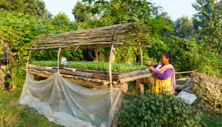 जलवायु उत्थानशीलतामा सर्वसाधरणको चासो