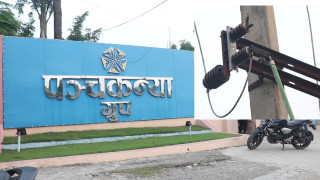 रूपन्देहीका चारवटा उद्योगमा विद्युत लाईन जडान
