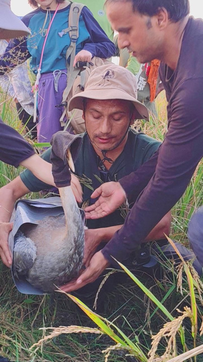 WhatsApp Image 2025-11-11 at 11.18.51 AM.jpeg