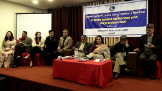 विज्ञहरु भन्छन् : नेपालमा दलतन्त्र हाबी हुँदा पत्रकारिता अपहेलित भयो