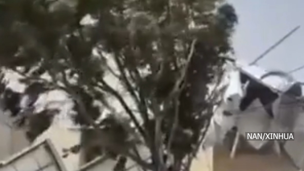 अर्जेन्टिनाको पाटागोनियन क्षेत्रमा १४० किलोमिटर प्रतिघण्टाको हावा