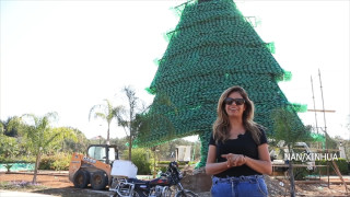 प्लास्टिकको बोतलबाट देवदारको मूर्ति बनाएर वर्ल्ड रेकर्ड कायम