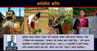 कर्मशील कृष्टि