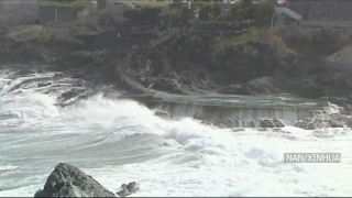 स्पेनको टेनेरिफमा शक्तिशाली छालः चार जनाको मृत्यु