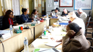 ‘महिलामाथि हुने सबै प्रकारका हिंसा रोक्न राज्य गम्भीर होस्’