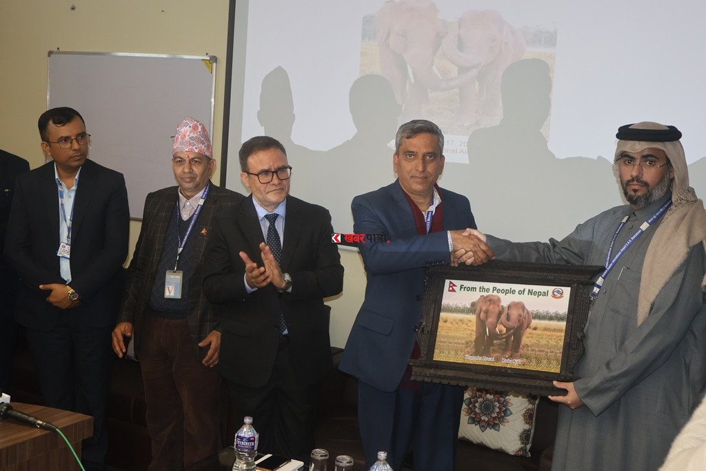 गौतमबुद्ध अन्तर्राष्ट्रिय विमानस्थलबाट कतार पठाइयो दुईवटा हात्ती