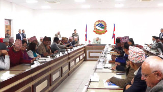 दल र नागरिक प्रतिनिधिसँग छलफलमा सरकार