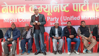 एमाले नेतृत्वको सरकारले मात्रै जनताको समस्या समाधान गर्न सक्छ : न्यौपाने