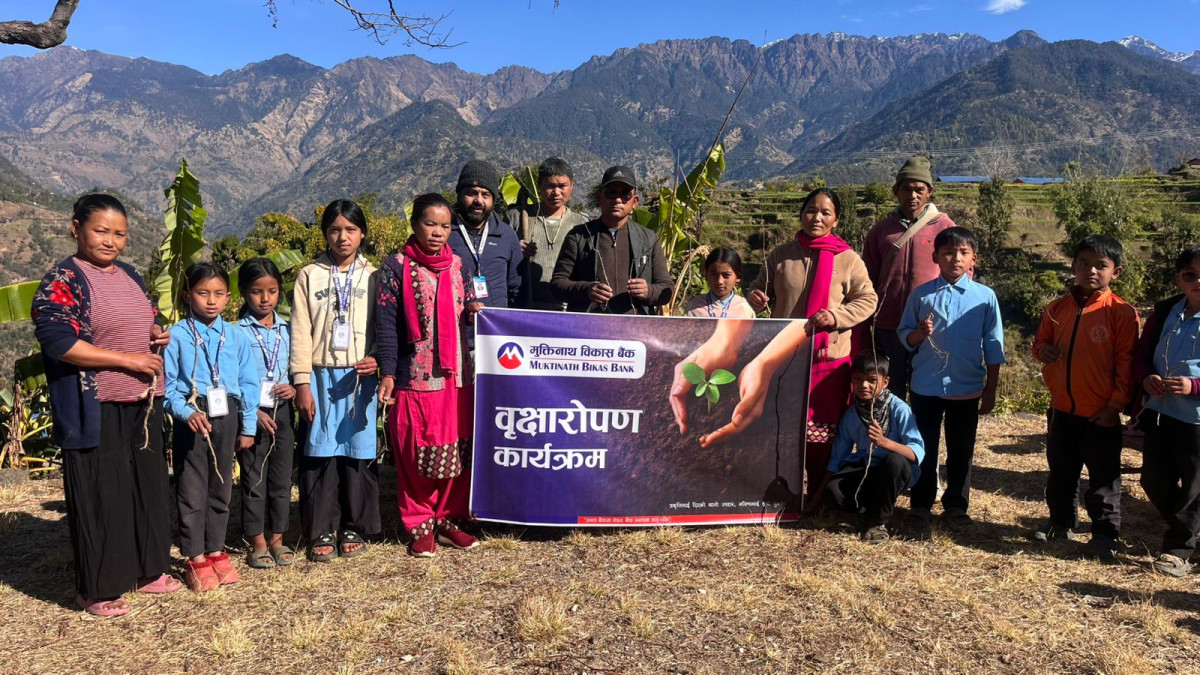 नौमुले गाउँपालिकामा रोपियो २७५ वटा नासपातीका विरुवा