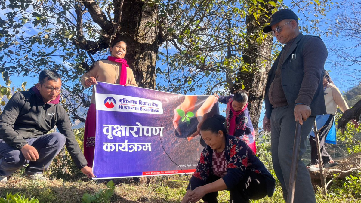 WhatsApp Image 2026-02-04 at 11.44.21 AM.jpeg