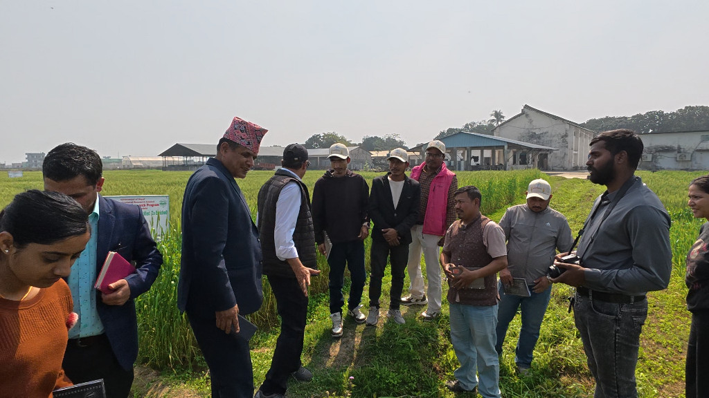 प्रविधि विस्तारबाट गहुँको उत्पादन र उत्पादकत्व बढाउने लक्ष्य