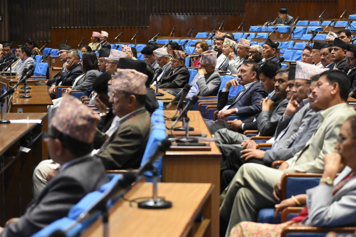 nepal parlamant.jpg