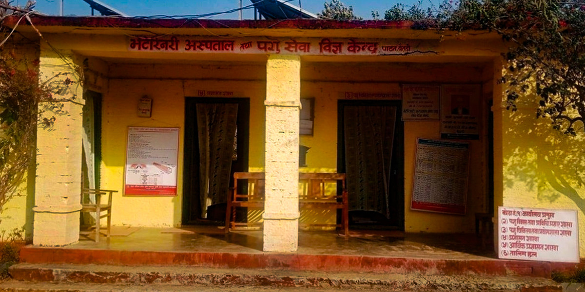बैतडीको पशु सेवा केन्द्रमा एक वर्षदेखि चिकित्सकको अभाव, सेवा ठप्प
