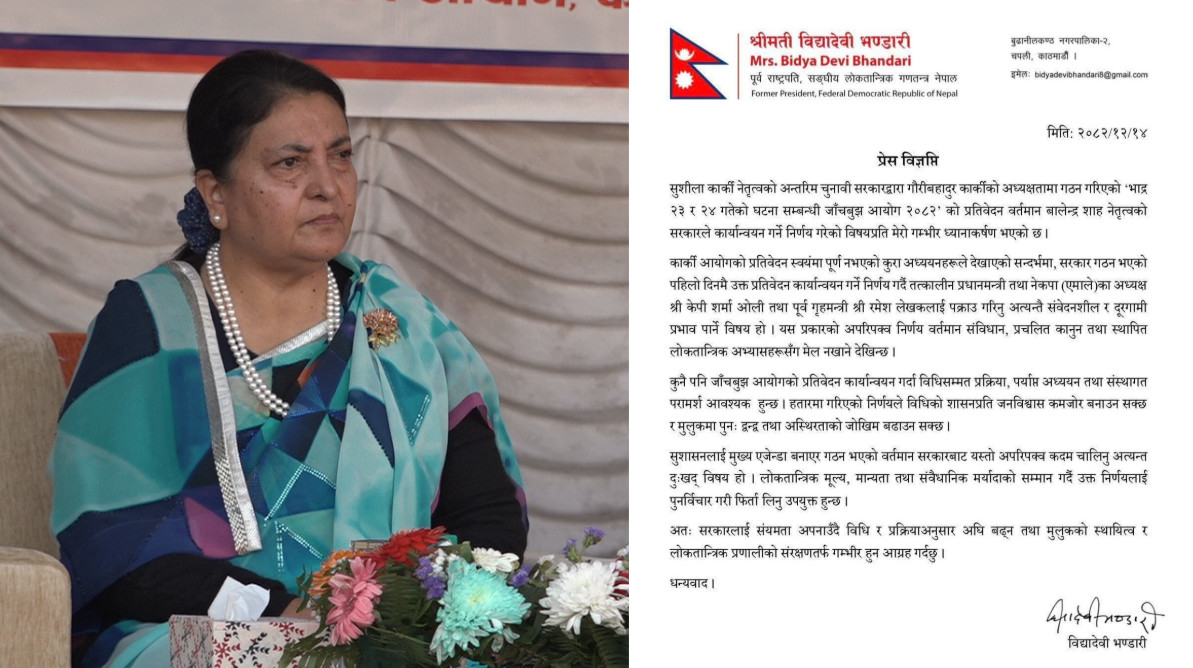 भण्डारीको चेतावनी—हतारमा लिइएको निर्णयले अस्थिरता निम्त्याउन सक्छ