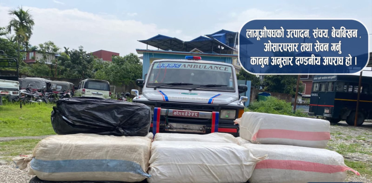 धरानमा एम्बुलेन्सबाट ४४० किलो गाँजा बरामद, चालक फरार