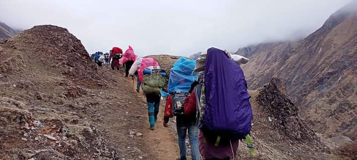 मुगुमा जेठ १३ देखि यार्सागुम्बा संकलन खुला, प्रवेश शुल्क तोकियो