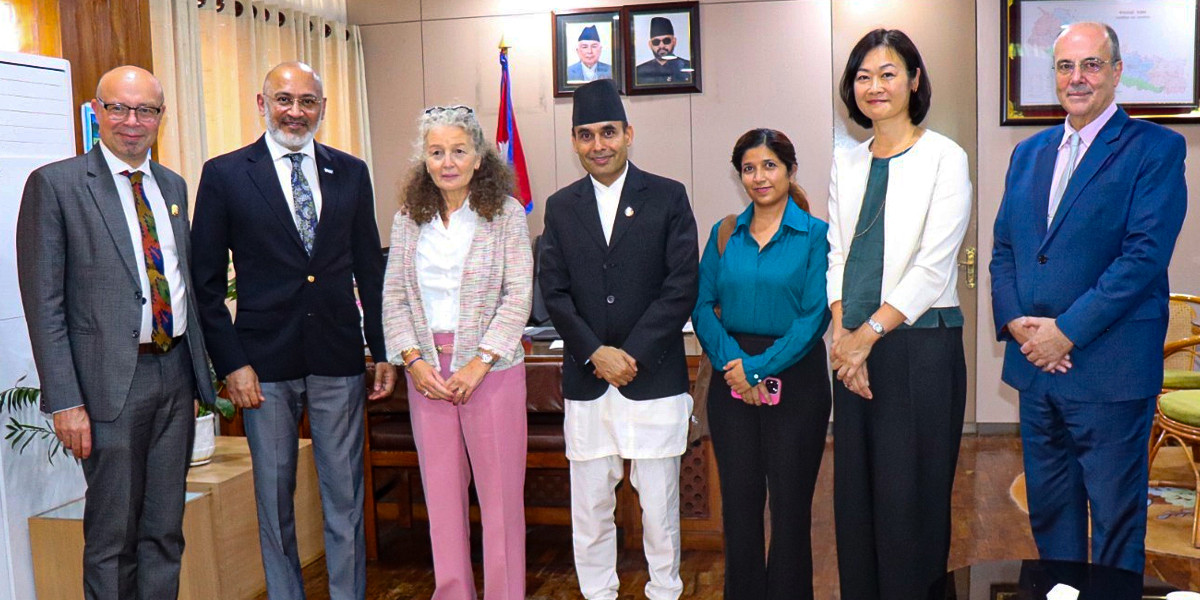 डिजिटल रूपान्तरण र साइबर सुरक्षामा सहकार्य विस्तार गर्न संयुक्त राष्ट्रसंघ र सरकारबीच छलफल