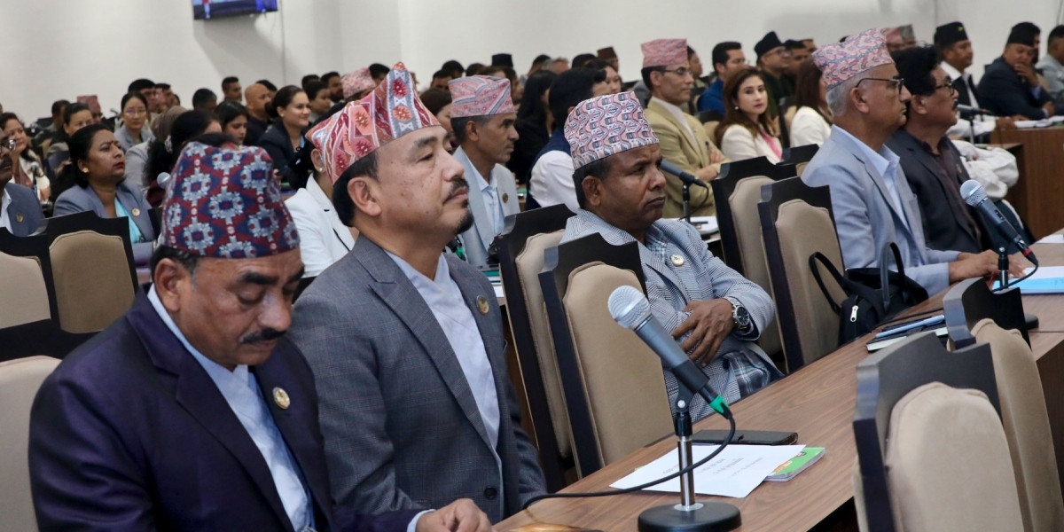 संघीय संसद्का दुवै सदनको बैठक बस्दै