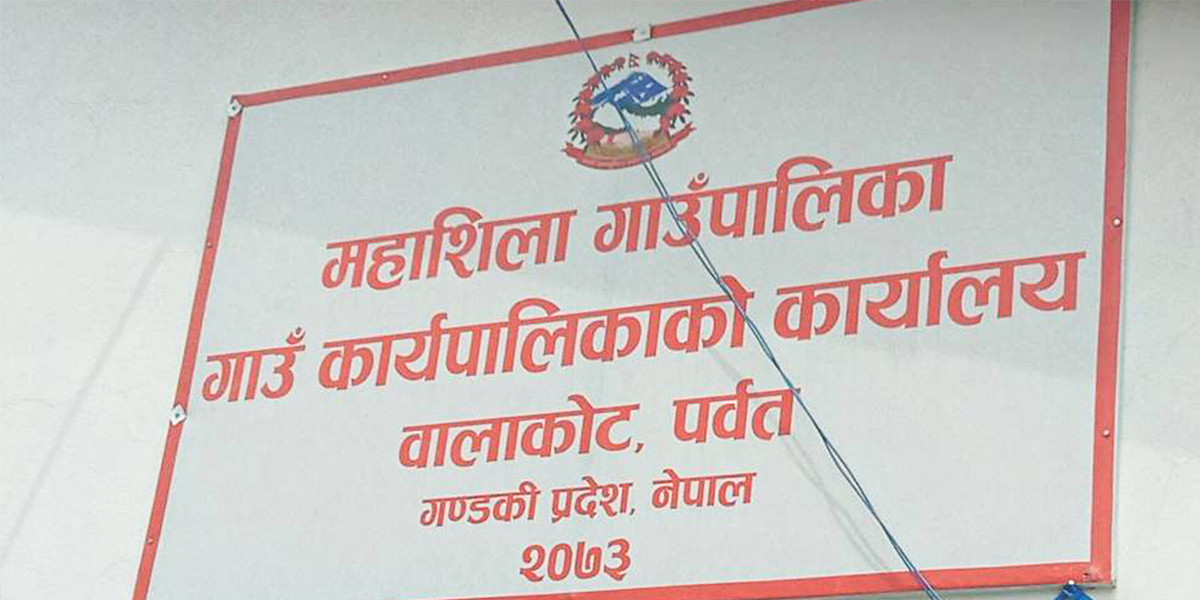 महाशिला गाउँपालिकाका किसानले गरे २० महिनामै ८ करोडको कृषि उपज बिक्री