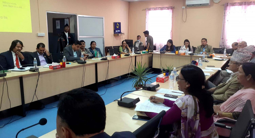 चक्रपथ विस्तारको दोस्रो चरणमा फ्लाइओभर वा अण्डरपास निर्माण गर्न संसदिय निर्देशन