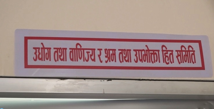 सरकारलाई   भन्सार सुरक्षा बलको व्यवस्था गर्न  निर्देशन