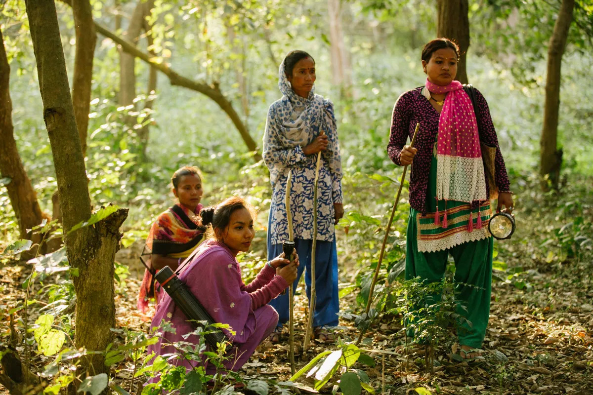 सामुदायिक वनलाई कार्बन क्रेडिट कारोबारमा सहभागी गराउँछौँः  मन्त्री शाही
