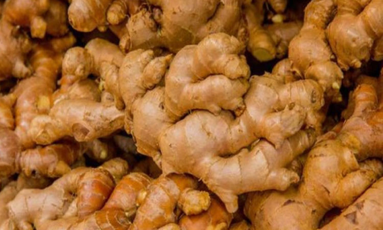 कर्णालीको अदुवा–बेसार विदेशी बजारमा